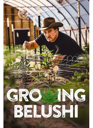 кино Growing Belushi 30.07.25