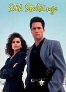 Шелковые сети сезон 3