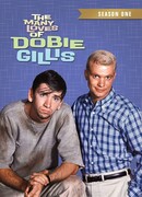 Успех Доби Гиллис сезон 1