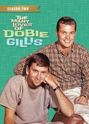 Успех Доби Гиллис сезон 2