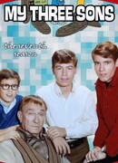 Три моих сына сезон 7
