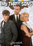 Три моих сына сезон 8