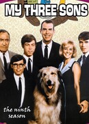 Три моих сына сезон 9