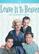 Предоставьте это Биверу сезон 1