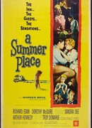 Летнее место