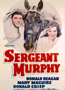 Сержант Мэрфи