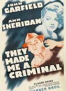 Они сделали меня преступником