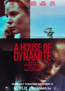 Дом динамита