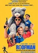 Грабитель с крыши