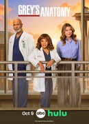 Анатомия страсти сезон 22