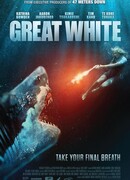 В пасти океана