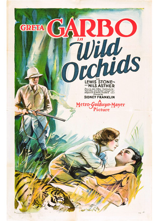 кино Дикие орхидеи (Wild Orchids) 29.10.25