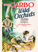 Дикие орхидеи