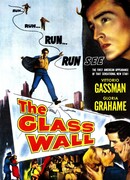 Стеклянная стена