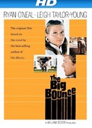 Большая кража