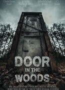 Дверь в лесу