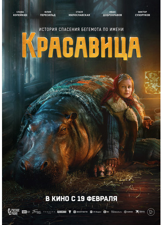 кино Красавица 15.12.25