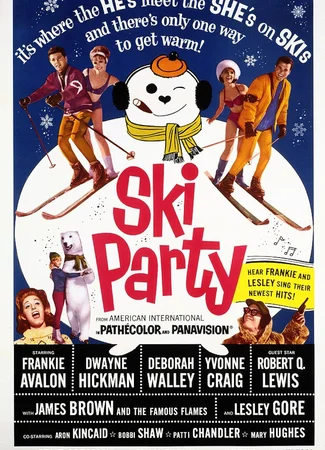 Веселье на лыжах