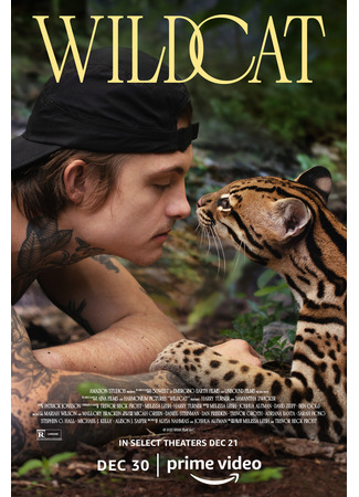 кино Дикая кошка (Wildcat) 03.02.26