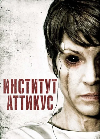 Институт Аттикус