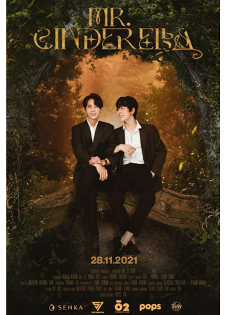 Мистер Золушка