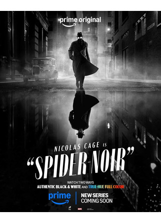 кино Паук-Нуар (Spider-Noir) 11.02.26