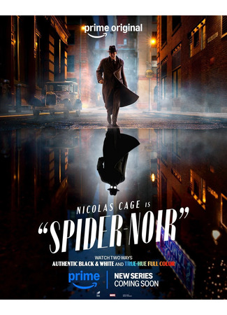 кино Паук-Нуар (Spider-Noir) 11.02.26