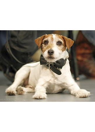 Актёр Угги 12.02.26