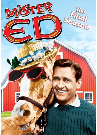 кино Мистер Эд (Mister Ed) 14.02.26