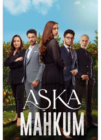 Заключенный любви