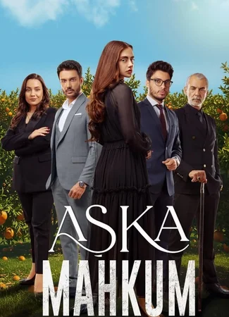 Заключенный любви
