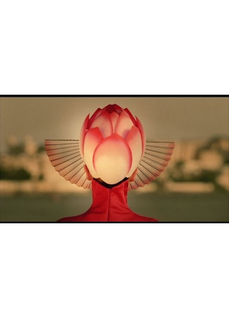 Переводчик Дорамное запределье 28.02.26