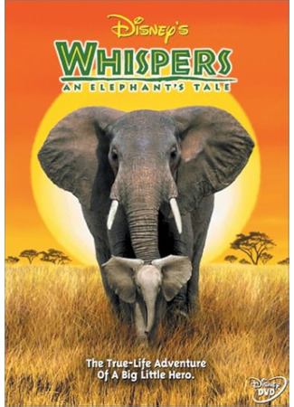 Приключения слона