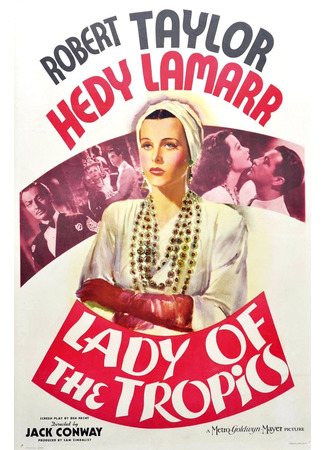Леди из тропиков