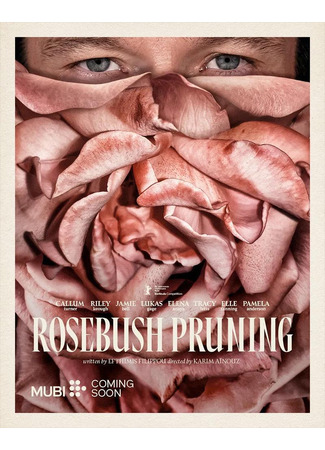 Подрезка кустов роз