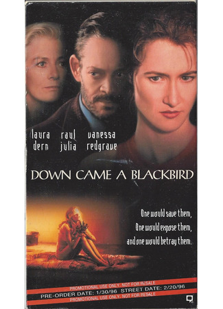 И спустился ворон