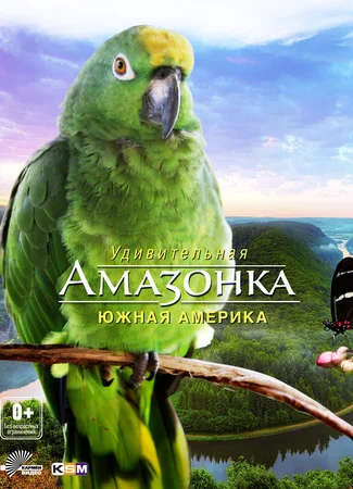 Амазонка 3D